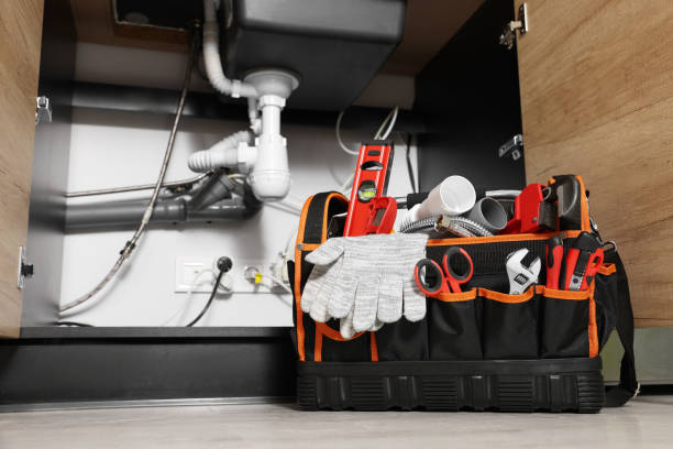 Best Leak Detection Services  in Cadillac, MI