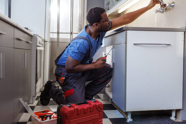 Best Local Plumber Services  in Cadillac, MI